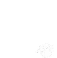 TippyTails shop now tippy tails tippytailsuk Sticker