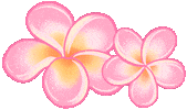 Hawaii Aloha Sticker by ERICA824