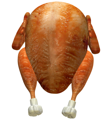 turkey happy thanksgiving Sticker