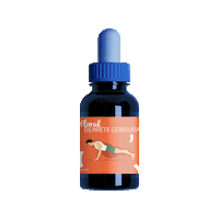 divinaformula farmaciademanipulacao florais divinaformula divina formula Sticker