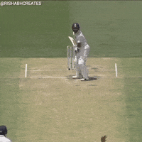 Virat Kohli GIF