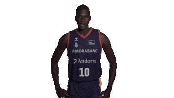 Liga Endesa Basketball Sticker by ACB