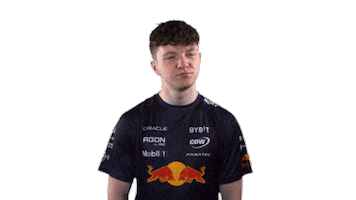 Red Bull Sr Sticker by Oracle Red Bull Racing