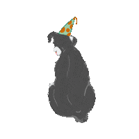 Rvergis dog schnauzer birthday hat dog birthday Sticker