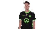 E Sports Sport Sticker by VfL Wolfsburg