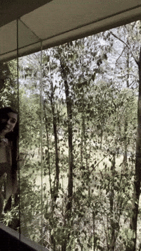 Lefz GIF