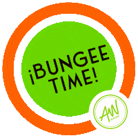 Aereoworkbungee Sticker by AWBungee