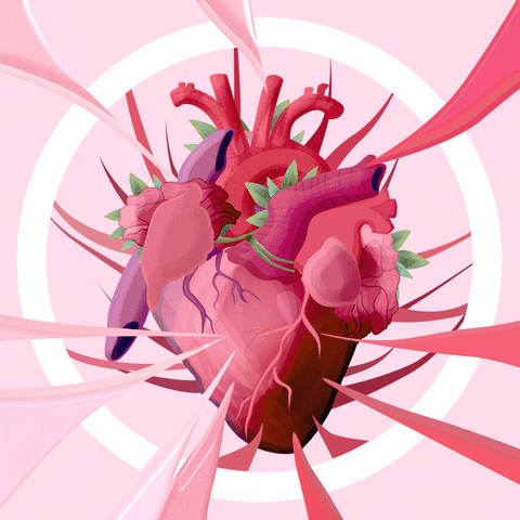 hmox heart animation beating GIF