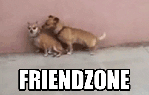 friendzone GIF