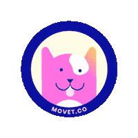 Cat Kitty Sticker by Movet