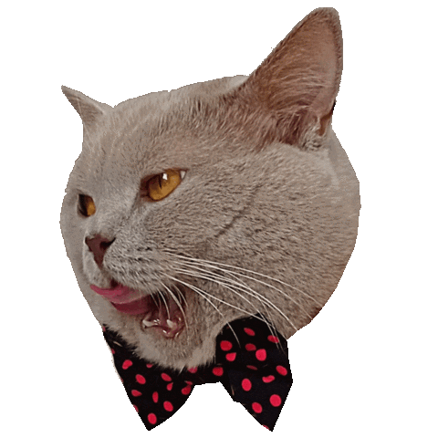 Art Love Sticker by ogato_design