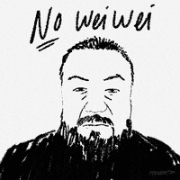 No Way Lol GIF by gifnews