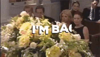 whitneylemond giphygifmaker GIF