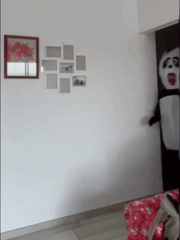 Say Hi Hello GIF
