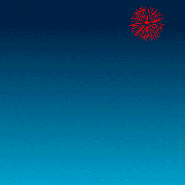 New Year Penguin GIF by Pudgy Penguins