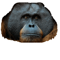 Design Colors Sticker by tikkurila