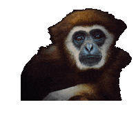 Design Colors Sticker by tikkurila