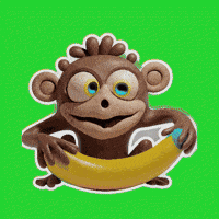 Hungry Monkey GIF
