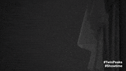 Twin Peaks Finale GIF by Twin Peaks on Showtime
