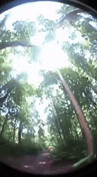 Jilly GIF