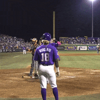 Home Run Baseball GIF by LSU Tigers