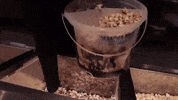 hungry à¹à¸«à¸à¹ GIF by BossKerati
