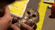 GIF by UnionDocs