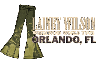 Wild Horses Florida Sticker by Lainey Wilson