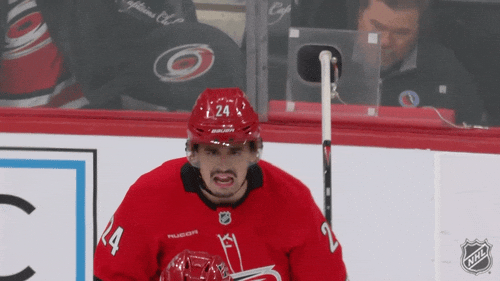 Carolina Hurricanes Smile GIF by NHL