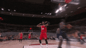 Portland Trail Blazers Sport GIF by NBA