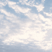 Flying Come Fly With Me GIF by TeaCosyFolk