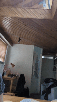 GIF by Stella 52