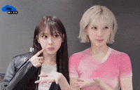 Nmixx GIF