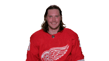 Red Wings Sport Sticker by Detroit Red Wings