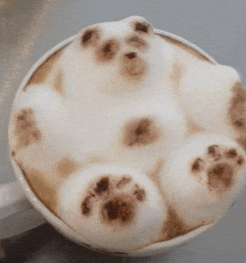 art bears latte GIF