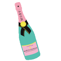 thequirkyname love party celebration birthday Sticker