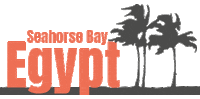 Egypt Kitesurfing Sticker by KiteWorldWide