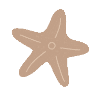 Summer Pool Sticker