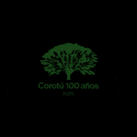 BuenaventuraResort corotu100años buenaventuracorotu GIF
