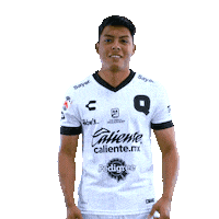 Liga Mx Gallos Sticker by Club Querétaro
