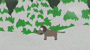 dog snow GIF by South Park 