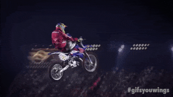 awesome let it go GIF by Red Bull