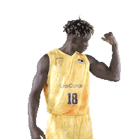 Liga Endesa Sport Sticker by ACB