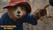 Paddington Bear GIF by STUDIOCANAL