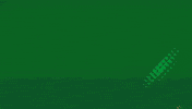 Basketball Slovenia GIF by kkcedevitaolimpija