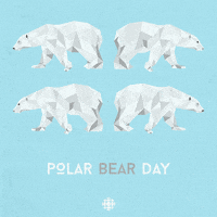 polar bear animation GIF by CBC
