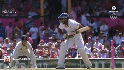 Cricket Fail GIF