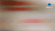 Happy Fun GIF by Mola TV Kids
