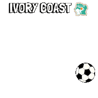 World Cup Football Sticker by Pudgy Penguins