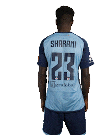 Slovan Futbal Sticker by Ruka Hore